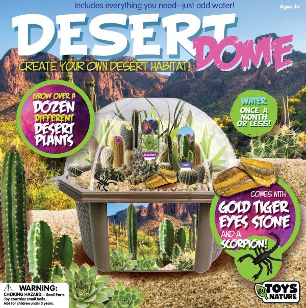 Desert Dome Biosphere Terrarium - Best for Ages 5 to 12