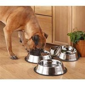 2-Pack of Cesar Millan 4 cup Stainless Steel Pet Bowls w/ Non Skid Base