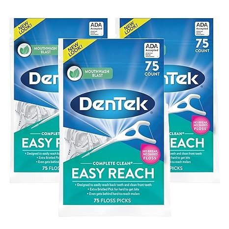 DenTek, Complete Clean Floss Picks 75 Floss Picks Pack of 3, 225 Count
