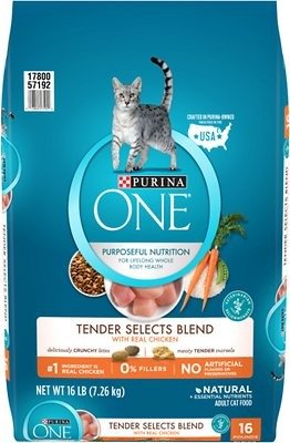 Tender Selects Blend with Real Chicken Dry Cat Food, 16-lb bag - Chewy.com