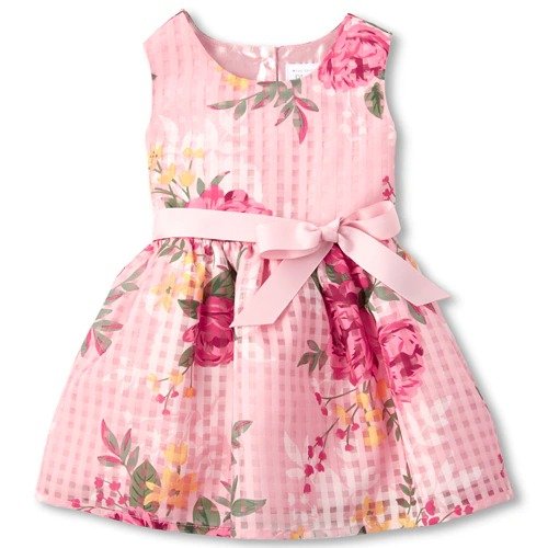 Baby And Toddler Girls Sleeveless Floral Print Woven Fit And Flare Dress