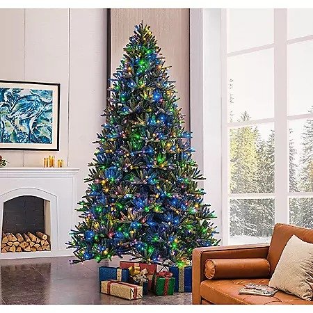 9' Bristle Fir Christmas Tree