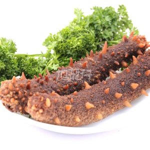 Dealmoon Exclusive: XLSeafood Sea cucumber Limited Time Offer