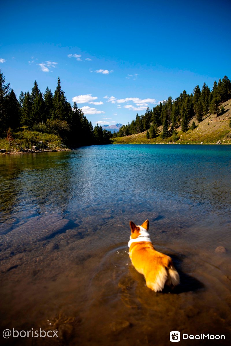 five_lakes_fifi.jpg