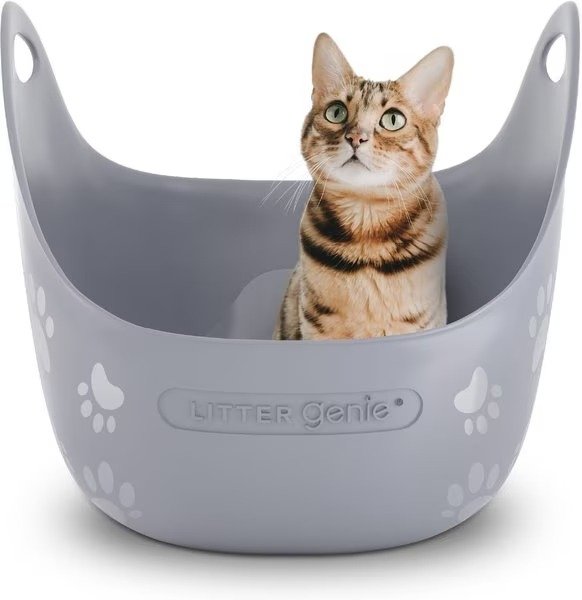 Cat Litter Box - Chewy.com