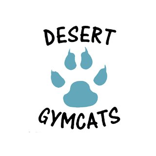 儿童体操培训中心 - Desert Gymcats - 拉斯维加斯 - Las Vegas