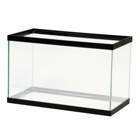 Standard Glass Aquarium Tank 10 Gallon | Petco
