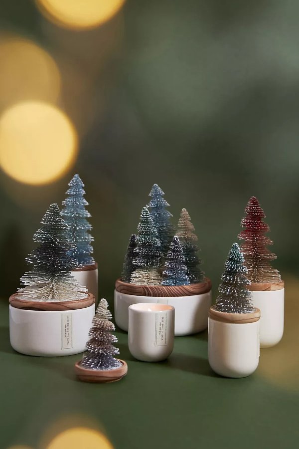 Frosted Bottle Brush Tree Candle