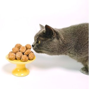 Chewy 大量猫咪零食、猫条热卖 小零食仅$1 32支猫条$12