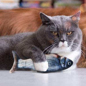Beewarm Flopping Fish Cat Toy with Catnip Bag