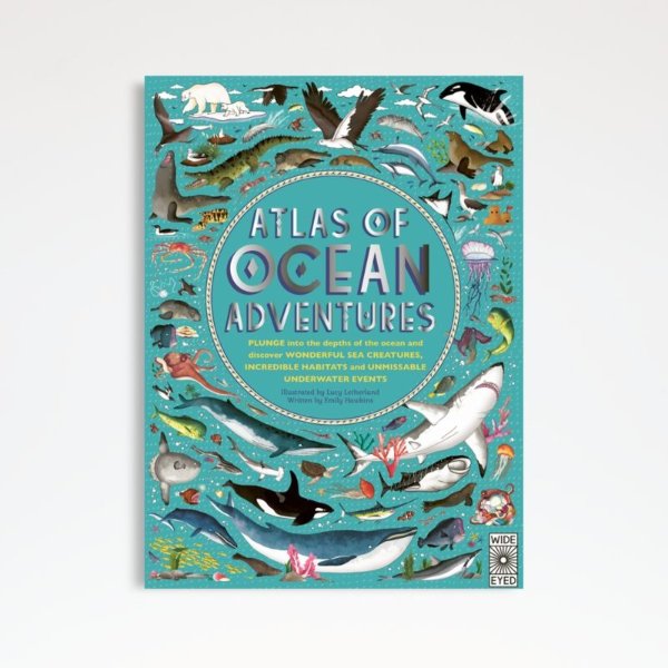 Atlas of Ocean Adventures 童书