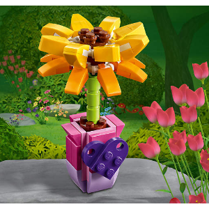 限今天：LEGO 官网情人节特别赠礼 购物满$20即送太阳花