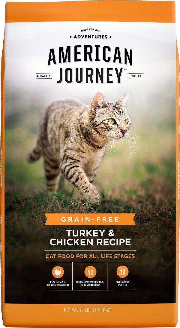 Turkey & Chicken Recipe Grain-Free Dry Cat Food, 12-lb bag - Chewy.com