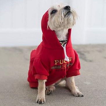 Fresh Pawz Red Pucci Dog Park Hoodie Clothing, Large | Petco