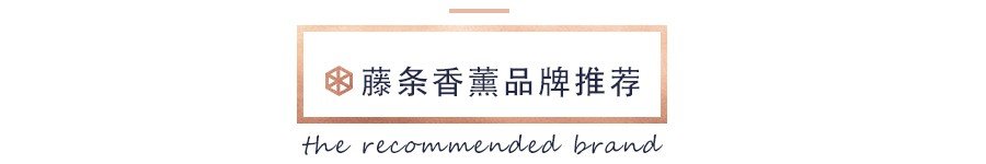 未标题-4
