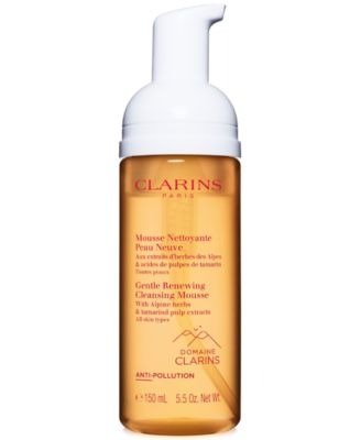 Gentle Renewing Cleansing Mousse With Alpine Herbs & Tamarind Pulp Extracts