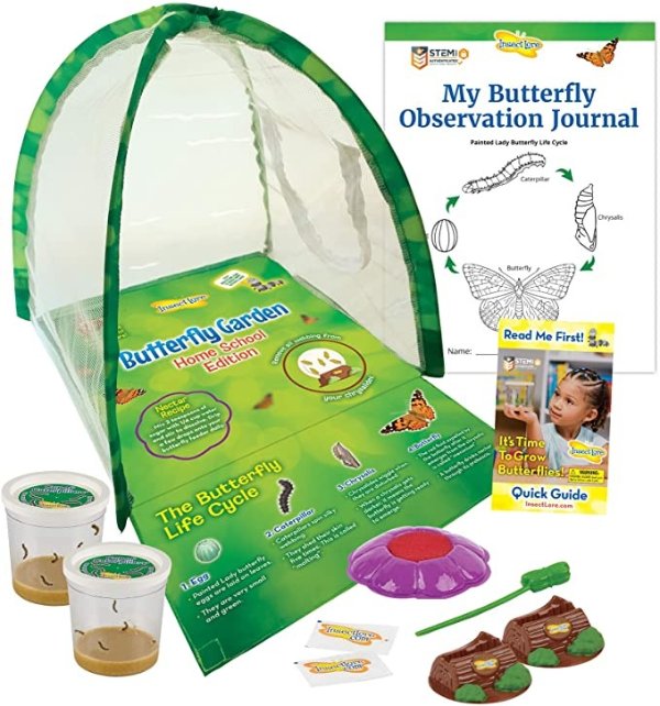 Lore Butterfly Garden Home School Edition with Two Cups of Caterpillars