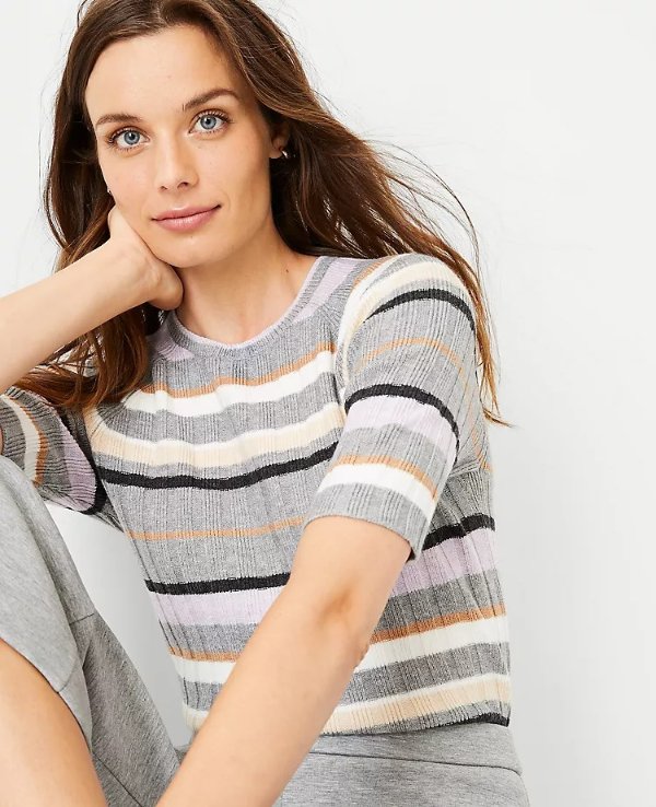 Multi Stripe Ribbed Sweater | Ann Taylor