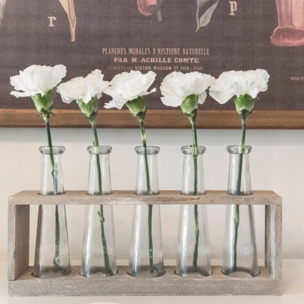 Vase Holder with 5 Glass Vases (12.5"x4.5") - 3R Studios