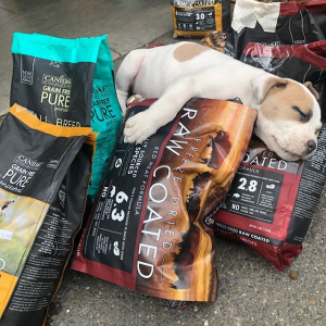 CANIDAE Selected Pet Food on Sale