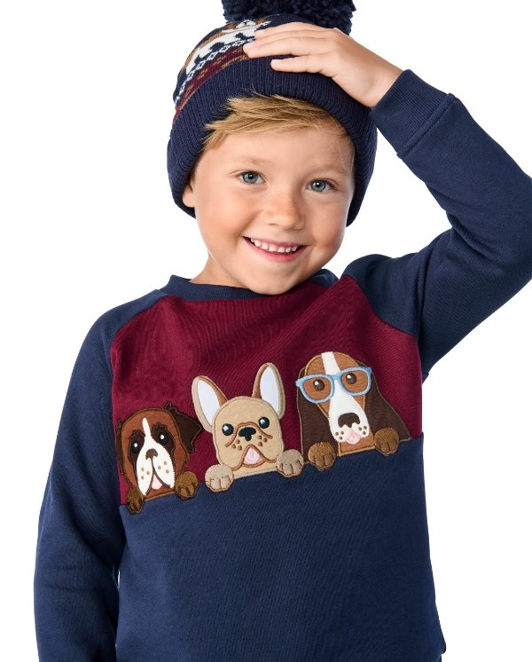 Boys Long Sleeve Embroidered Dogs Colorblock Raglan Top - Playful Pups | Gymboree - TIDAL