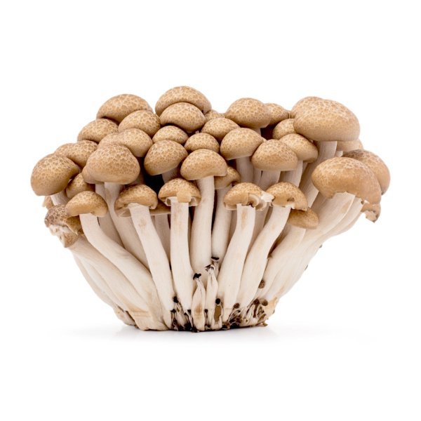 Shimeji Brown Mushroom 150 g