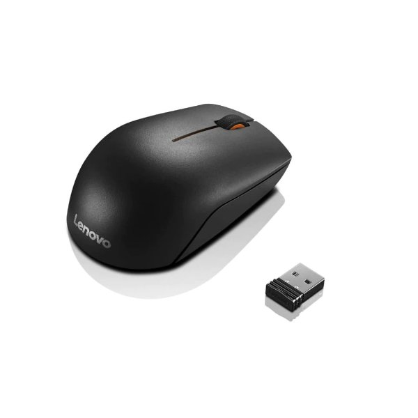 300 Wireless Mouse