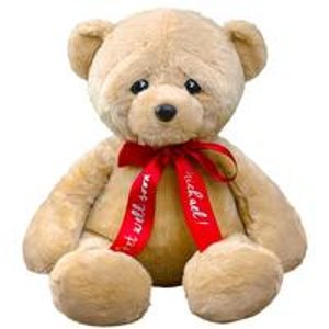 Get Well Ribbon 18" Teddy Bear @ 800Bear