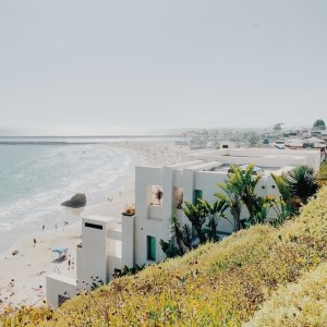 南加州Newport Beach周末游，网红兔子园打卡，租船出海看景