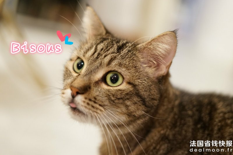 DSC00705_meitu_1
