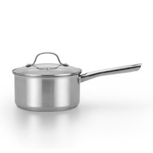 T-Fal 3qt Stainless Steel Saucepan with Lid