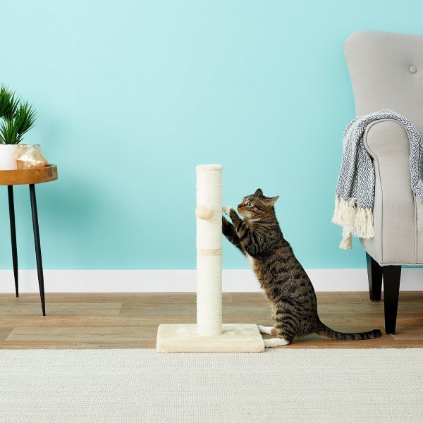 21-in Sisal Cat Scratching Post with Toy, Cream - Chewy.com