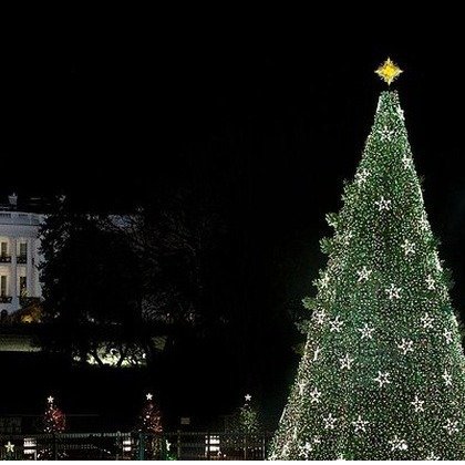 华盛顿DC 圣诞灯25分钟参观