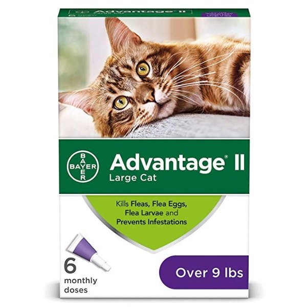 Flea Prevention for Large Cats, Over 9 lbs, 6 doses