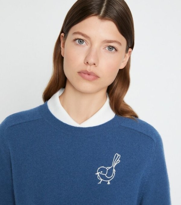 Cashmere Raglan Birdie SweaterSession has ended
