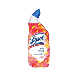 Lysol Toilet Bowl Cleaner, Brand New Day, Mango & Hibiscus, 24 oz