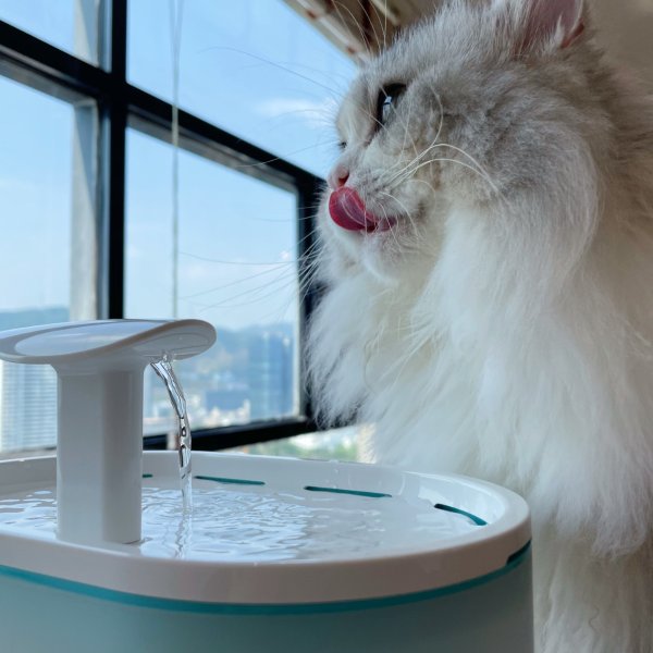 智能自动宠物饮水机+8个滤网