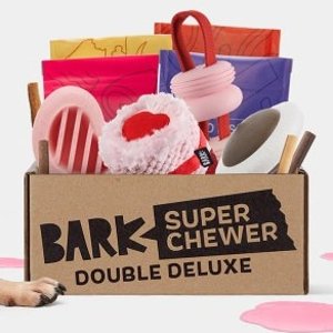 Double Your BoxSuper Chewer by Barkbox Sale