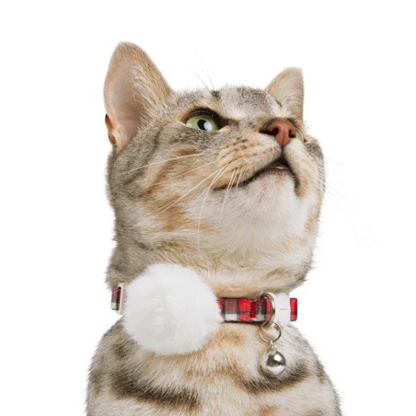 More and Merrier Red Check Cat Collar | Petco