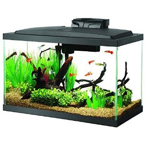 Aqueon 10 Gal LED Aquarium Kit