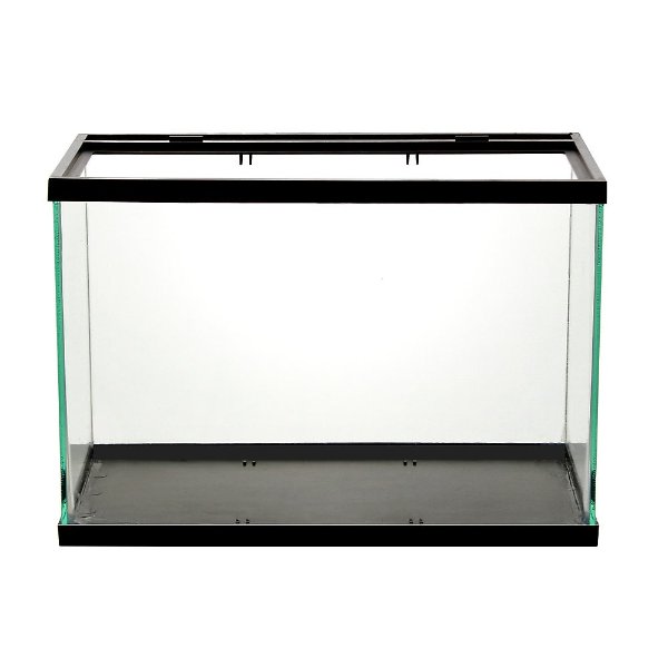 Open Glass Aquarium