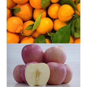30% Off Organic Fuji Apples and Satsuma Mandarins from Olive Seven Farms @ GrubMarket
