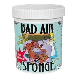 Bad Air Sponge  除臭海绵 1磅装