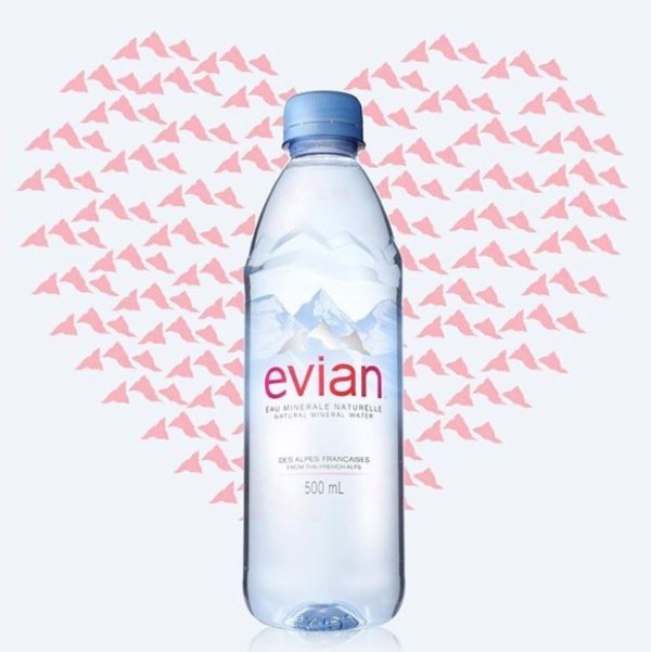 evian Natural Spring Water One Case of 24 Individual 500 ml