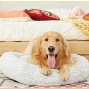 Lifease Memory Foam Platform Dog Beds on sale
