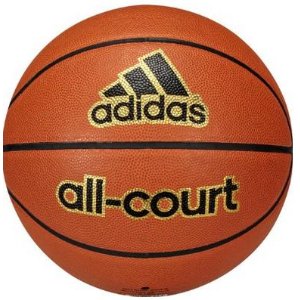  Performance All Court Basketball