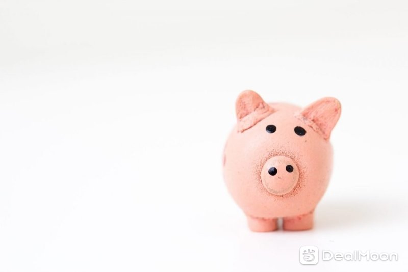 saving-pig.jpg