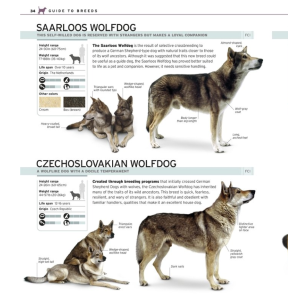 The Complete Dog Breed