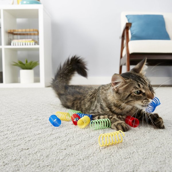 彩色猫咪弹簧玩具 10个