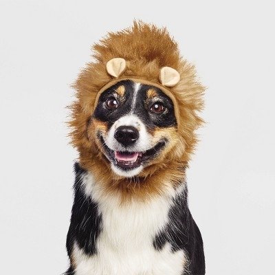 Halloween Lion Cat and Dog Headwear - Hyde & EEK! Boutique™